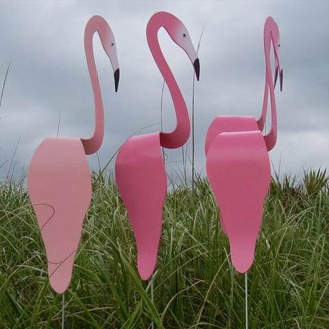 Flamingoz | Vibrant Bird