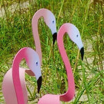 Flamingoz | Vibrant Bird