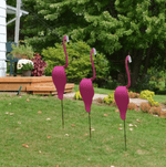 Flamingoz | Vibrant Bird