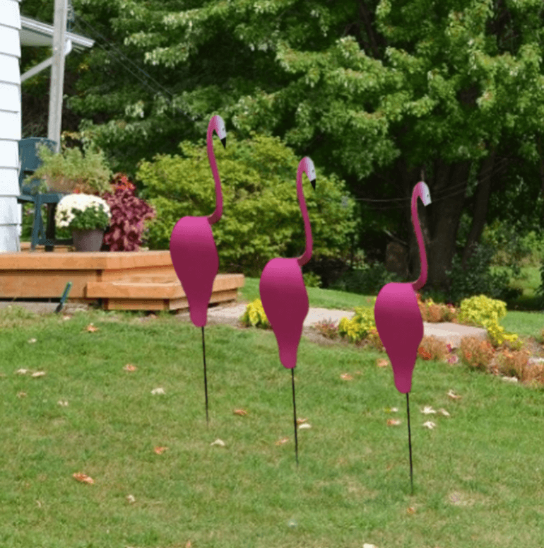 Flamingoz | Vibrant Bird