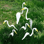 Flamingoz | Vibrant Bird