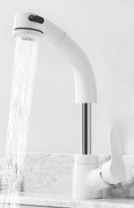 Elegant Extendable Bathroom Faucet for Modern Design