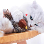 Flauschiger Jagdfreund – Aktivieren Sie den Spieltrieb Ihrer Katze