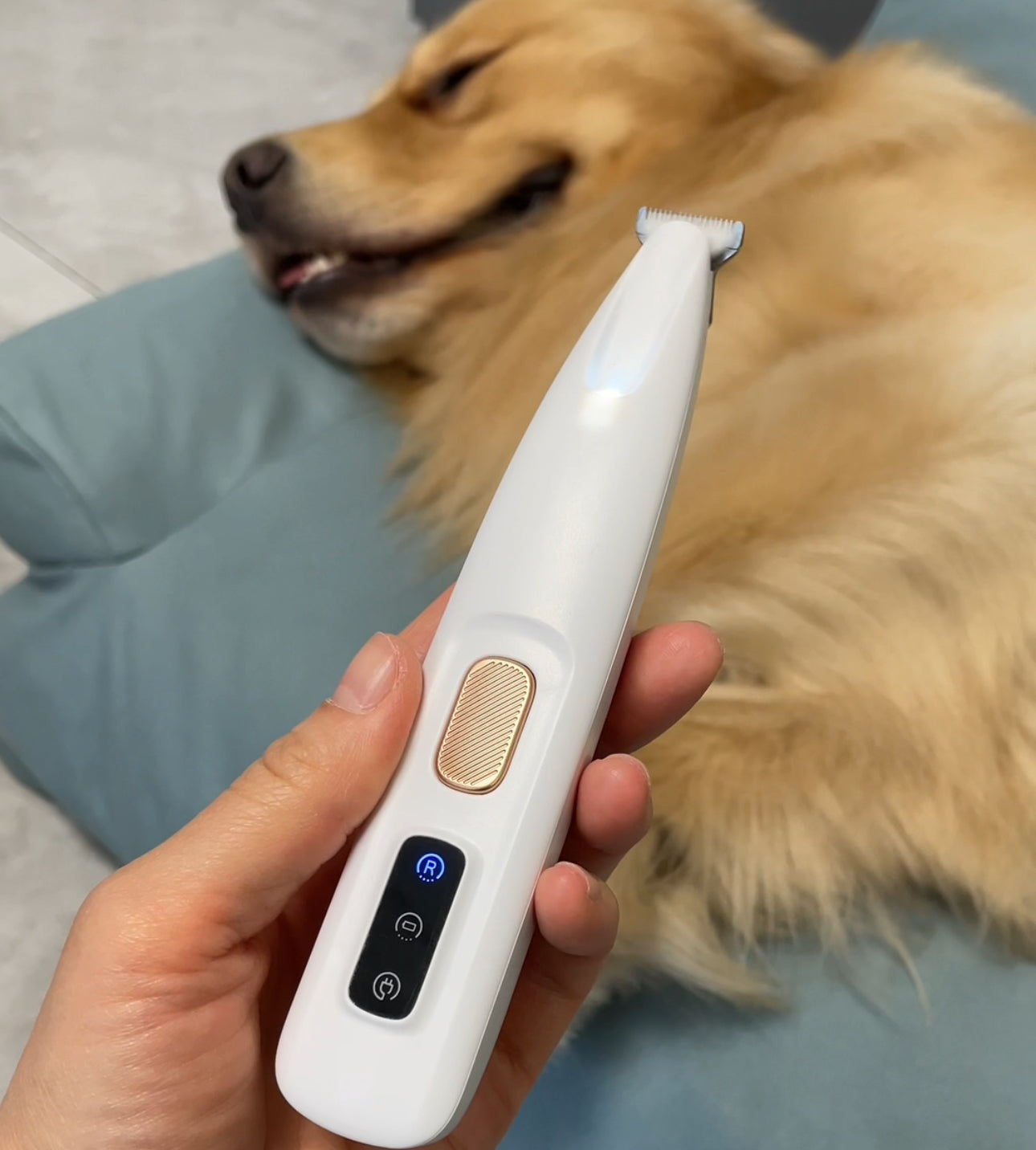 Pflegeleicht | Stressfreies Grooming für glückliche Haustiere