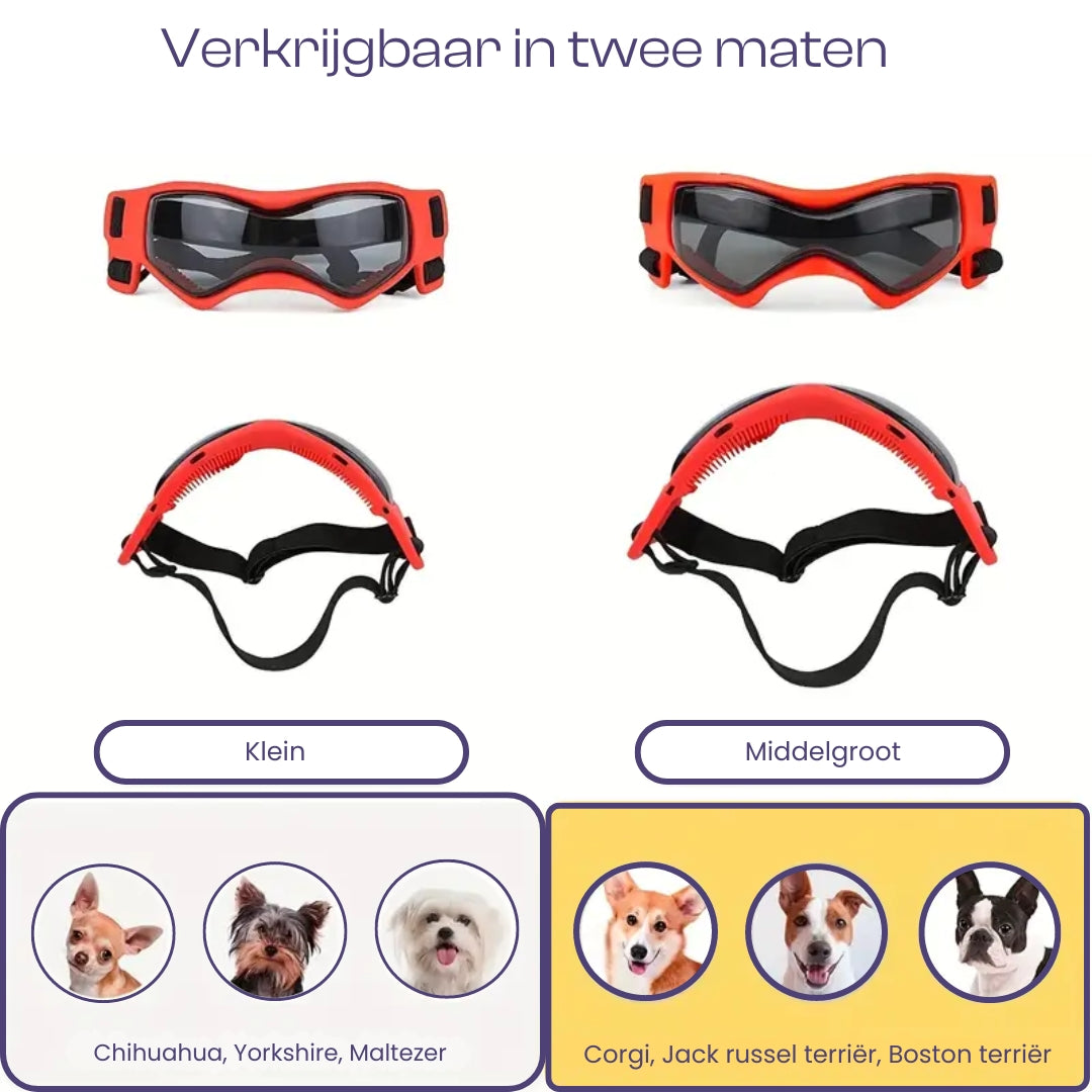 FurrVision | UV and Wind Protection for Dogs