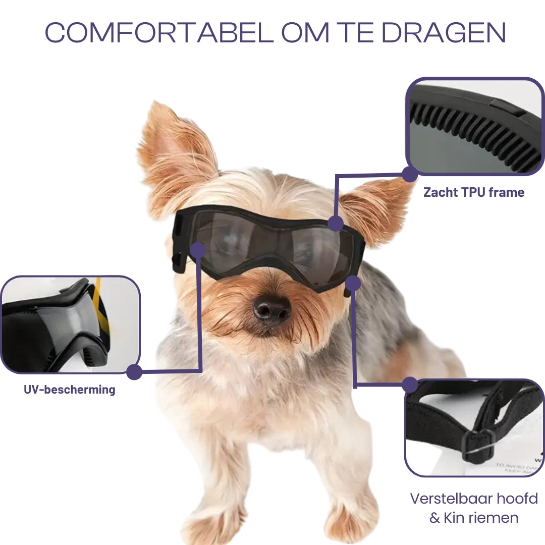 FurrVision | UV and Wind Protection for Dogs