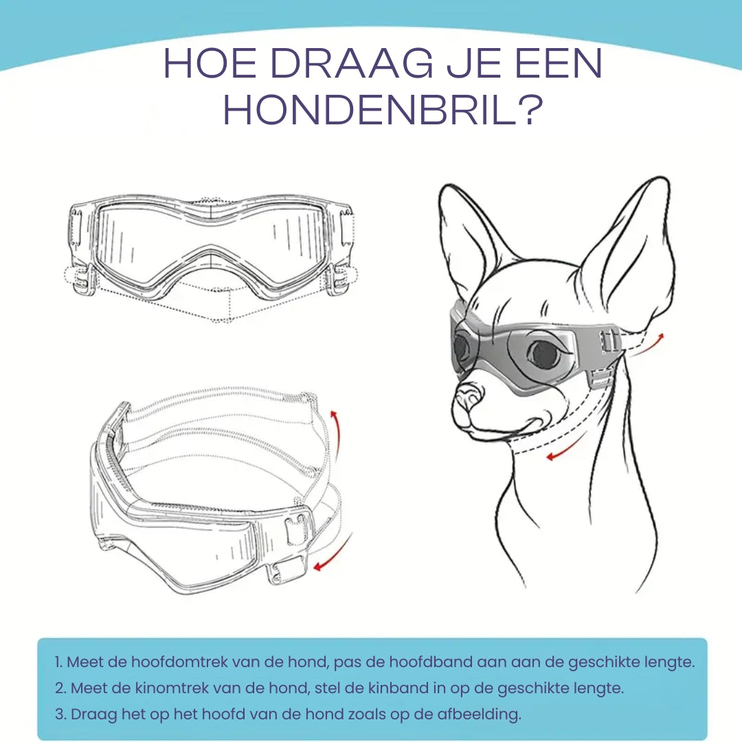 FurrVision | UV and Wind Protection for Dogs