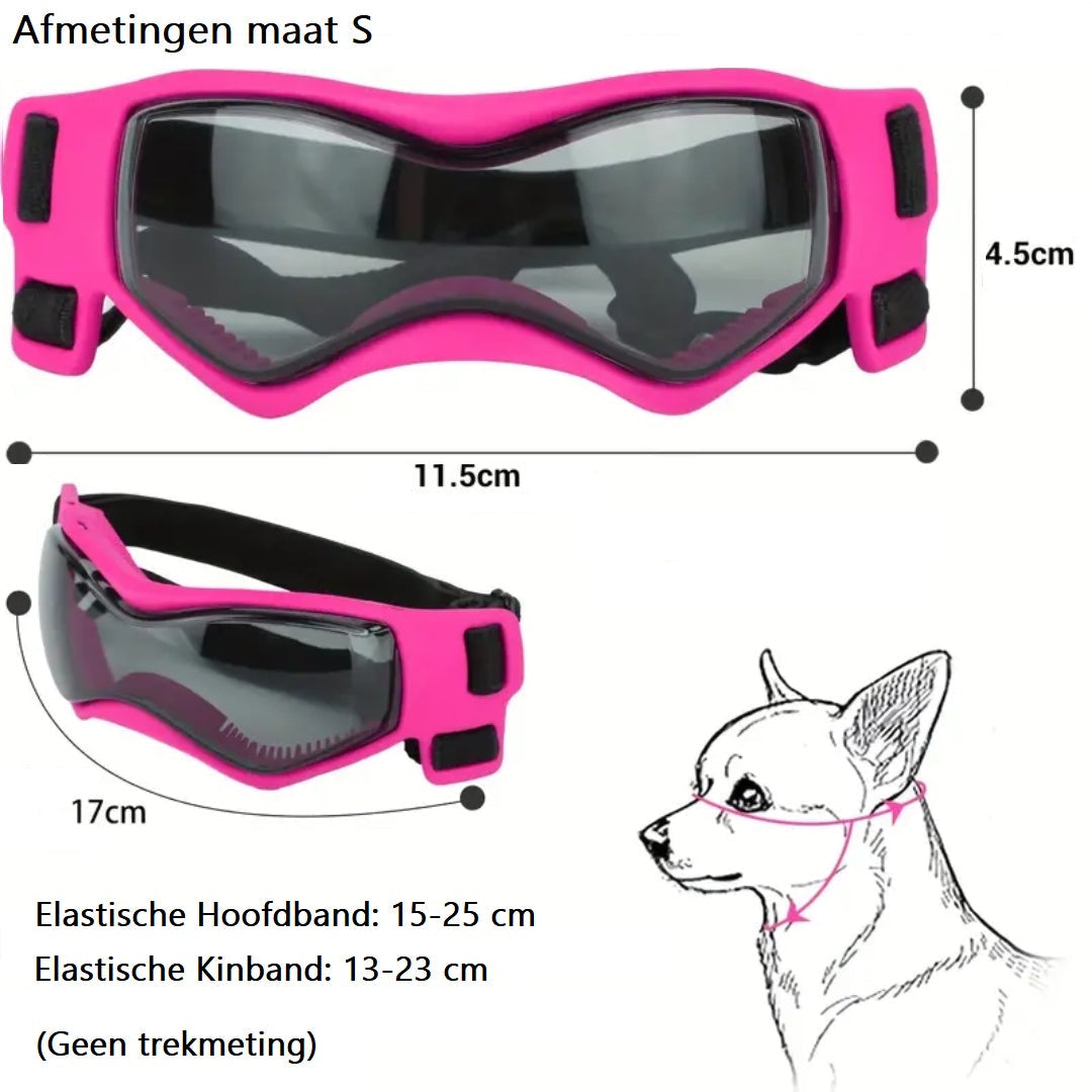 FurrVision | UV and Wind Protection for Dogs