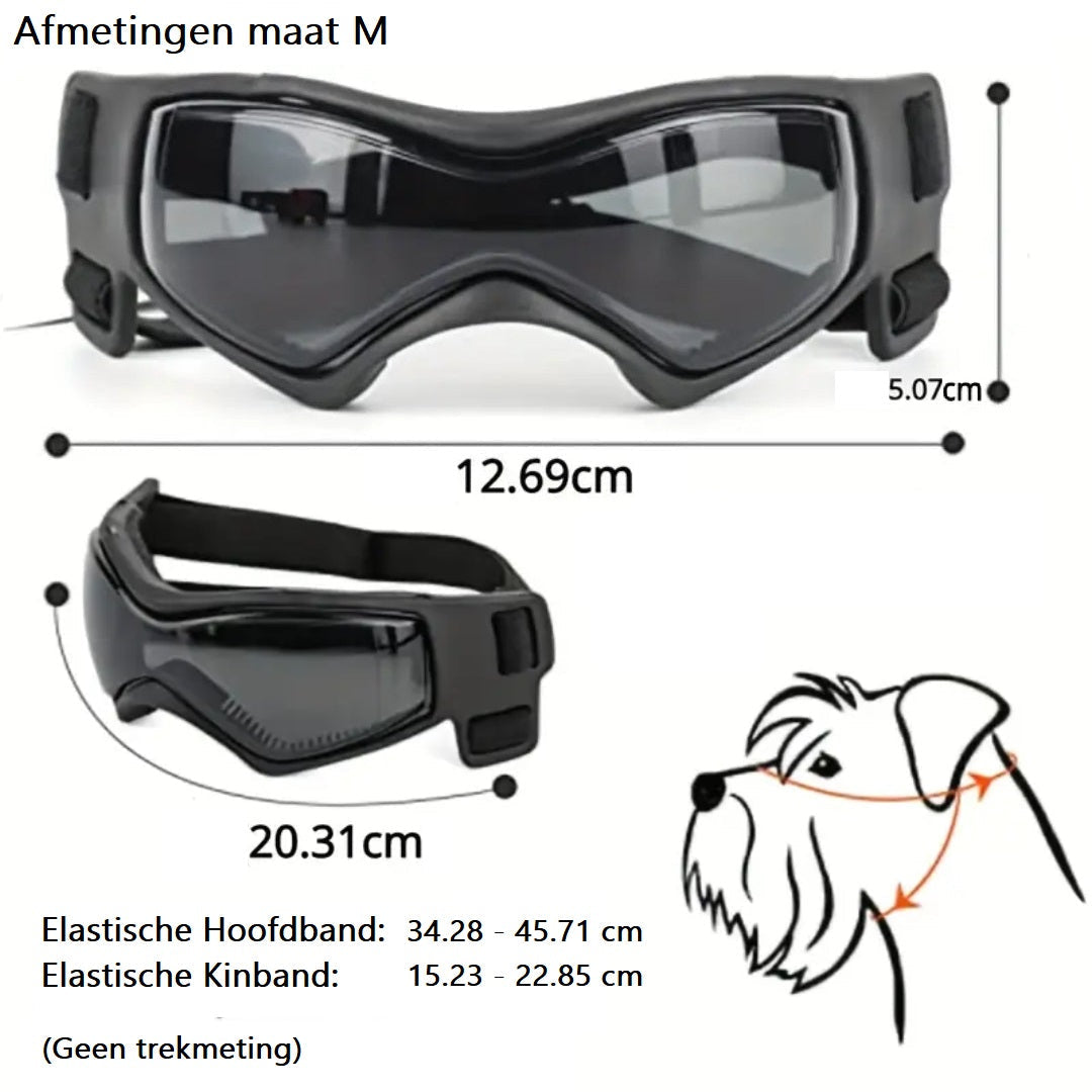 FurrVision | UV and Wind Protection for Dogs