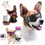 FurrVision | UV and Wind Protection for Dogs