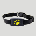 Echtzeit-Katzenortung – Ihr zuverlässiger GPS-Tracker