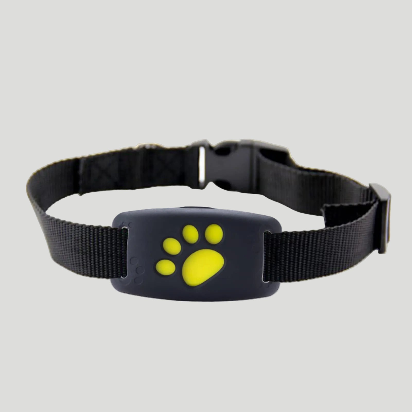 Echtzeit-Katzenortung – Ihr zuverlässiger GPS-Tracker