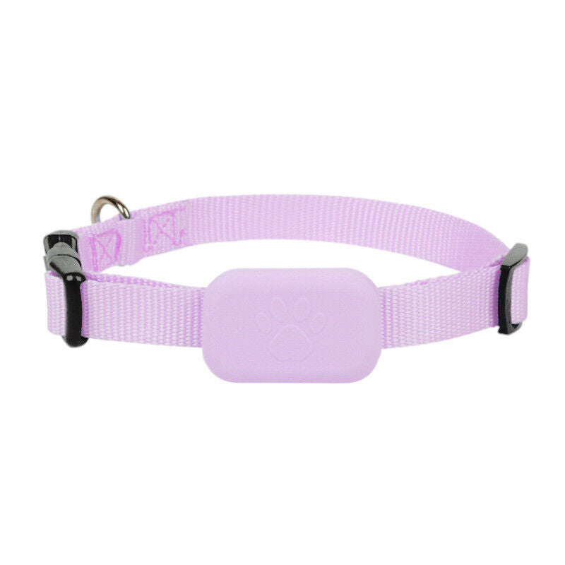 GPS Tracking for Dogs and Cats - GPS Collar for Your Pet