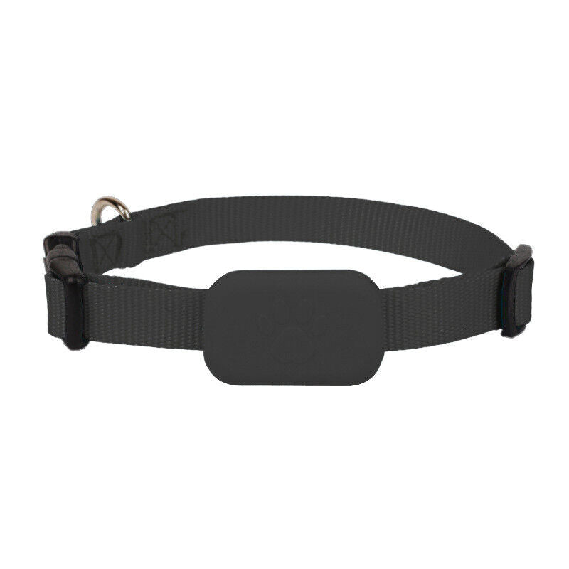 GPS Tracking for Dogs and Cats - GPS Collar for Your Pet