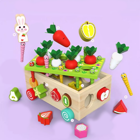 Montessori Geometric Shape Sorter - Fostering Playful Learning