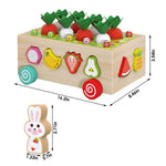Montessori Geometric Shape Sorter - Fostering Playful Learning