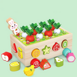 Montessori Geometric Shape Sorter - Fostering Playful Learning