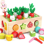 Montessori Geometric Shape Sorter - Fostering Playful Learning