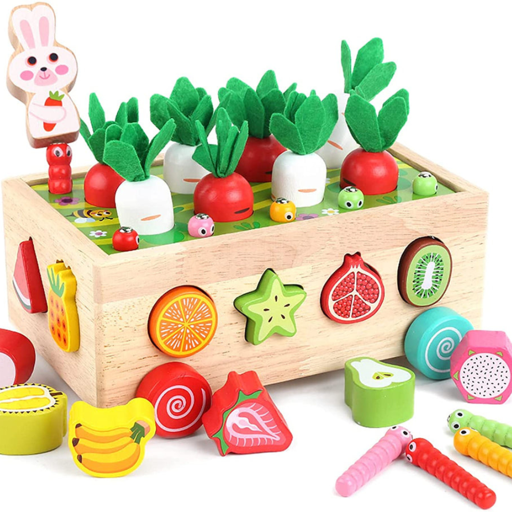 Montessori Geometric Shape Sorter - Fostering Playful Learning