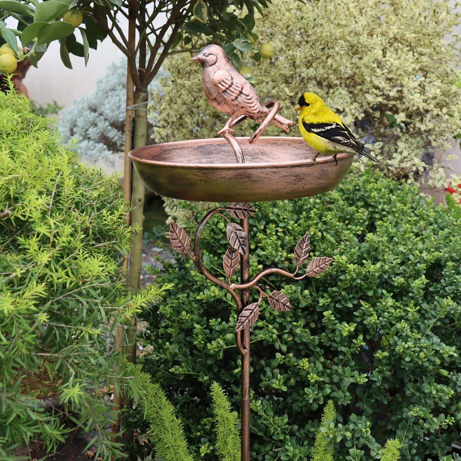 Vogelbad für den Garten | Stilvolle Schale | Stabiler Spike