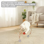 FederSprung Katzenspielzeug - 3er Set