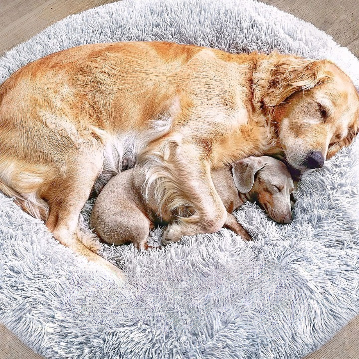FluffyNest Komfort Hundebett – Orthopädisches Plüschschlafkissen für Hunde