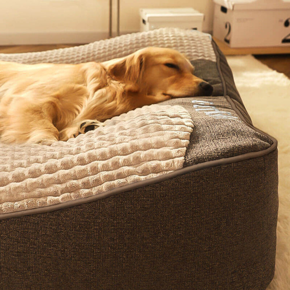 Geräumiges, Kratzfestes Hundebett mit Hohem Rand