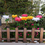 Sun Blooms – Bring Your Garden to Life with Solar Lights