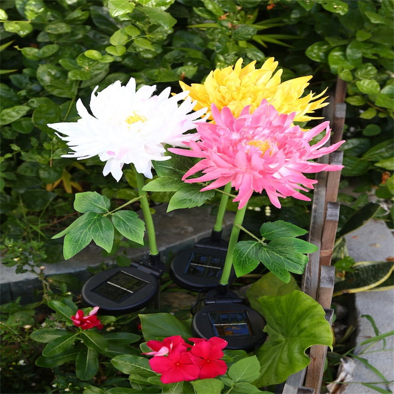 Sun Blooms – Bring Your Garden to Life with Solar Lights