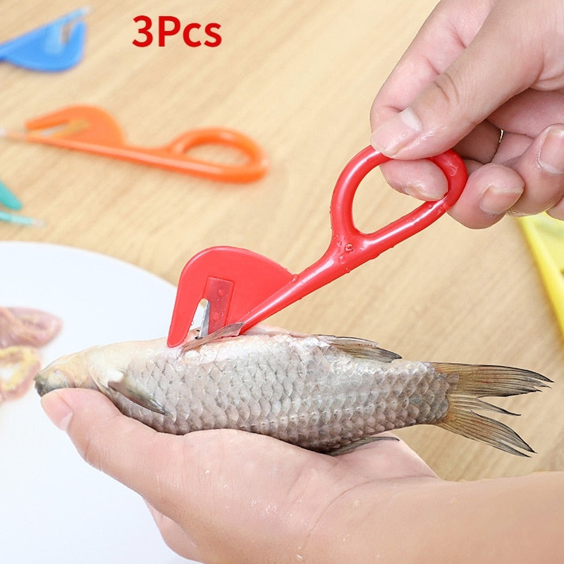 Fischpflege Pro | Praktisches Werkzeug zum Fischreinigen