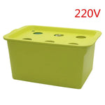 EdenGrow 6-Plant Hydroponics System with Air Pump | Compact Growing Solution