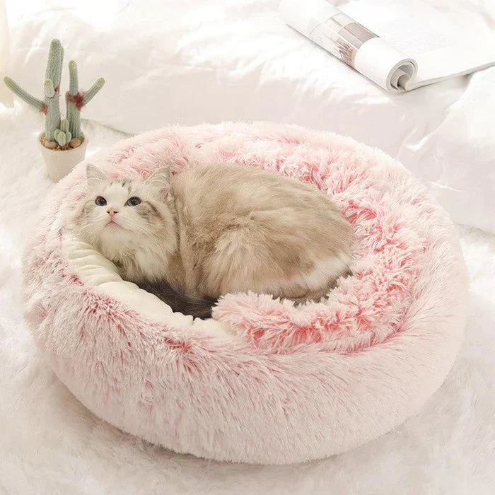 Katzenbett für Komfort und Entspannung