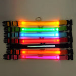 LED-Halsband für Haustiere – Sicherheit und Sichtbarkeit mit GlowPets