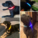 LED-Halsband für Haustiere – Sicherheit und Sichtbarkeit mit GlowPets