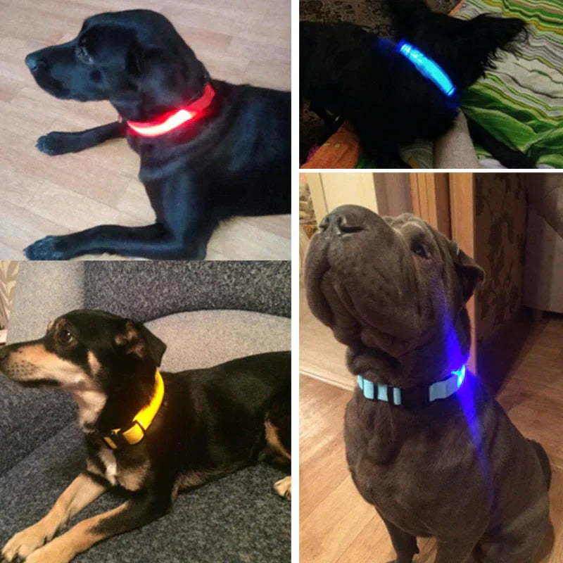 LED-Halsband für Haustiere – Sicherheit und Sichtbarkeit mit GlowPets