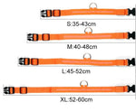 LED-Halsband für Haustiere – Sicherheit und Sichtbarkeit mit GlowPets