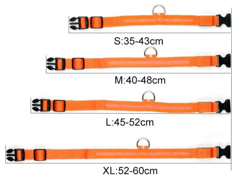 LED-Halsband für Haustiere – Sicherheit und Sichtbarkeit mit GlowPets
