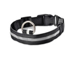 LED-Halsband für Haustiere – Sicherheit und Sichtbarkeit mit GlowPets