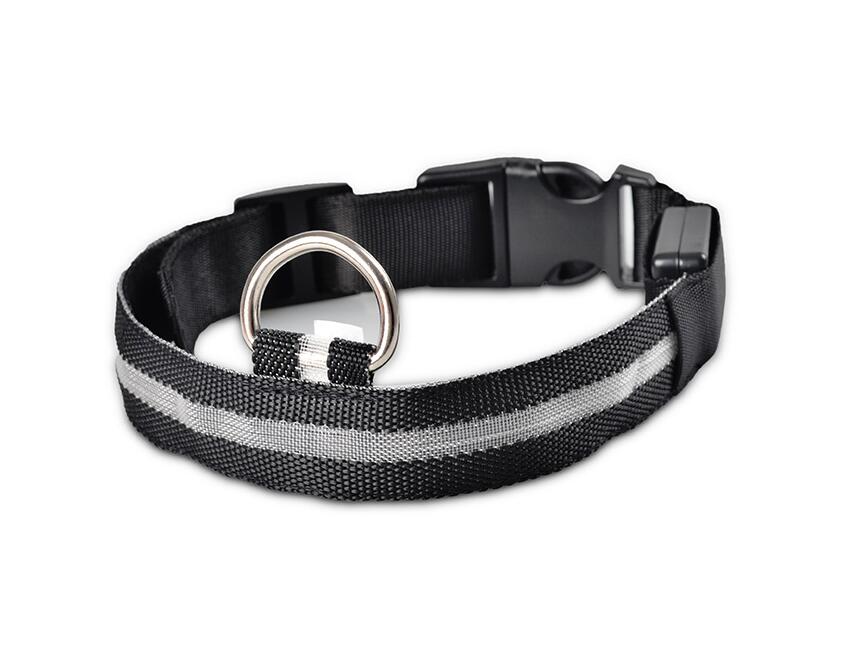 LED-Halsband für Haustiere – Sicherheit und Sichtbarkeit mit GlowPets