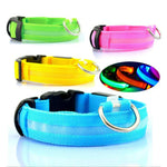 LED-Halsband für Haustiere – Sicherheit und Sichtbarkeit mit GlowPets
