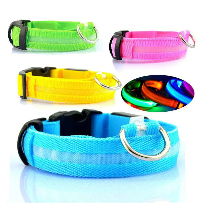 LED-Halsband für Haustiere – Sicherheit und Sichtbarkeit mit GlowPets