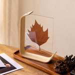 Elegant Wooden Picture Frame – Handcrafted from Fine Wood