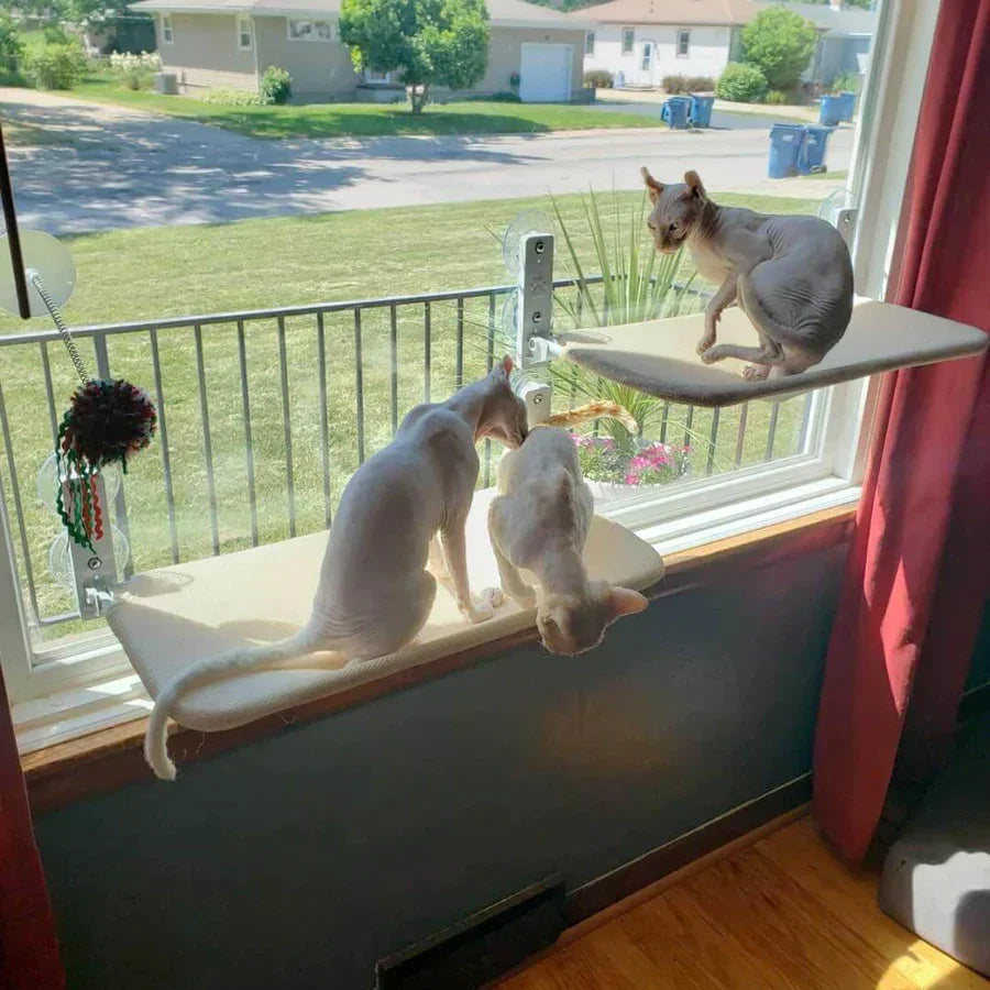 Katzenliegeplatz - Bequeme Hängematte für Katzen
