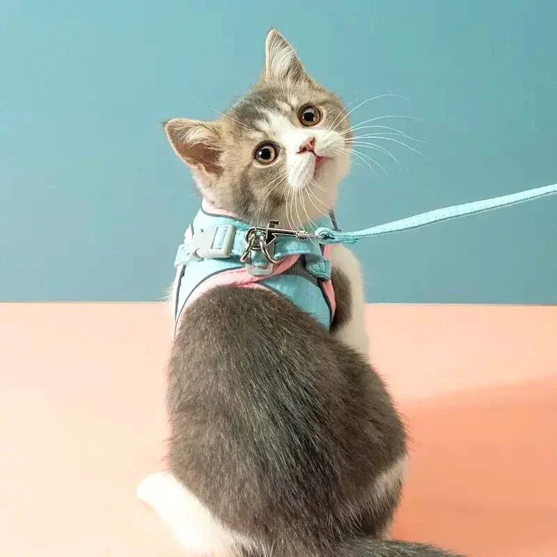 Katzengeschirr mit Leine – Bequeme Passform mit reflektierenden Sicherheitsstreifen