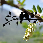 Elegante Metallvögel – Wand- und Gartenakzent