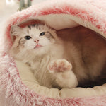 Katzenbett für Komfort und Entspannung