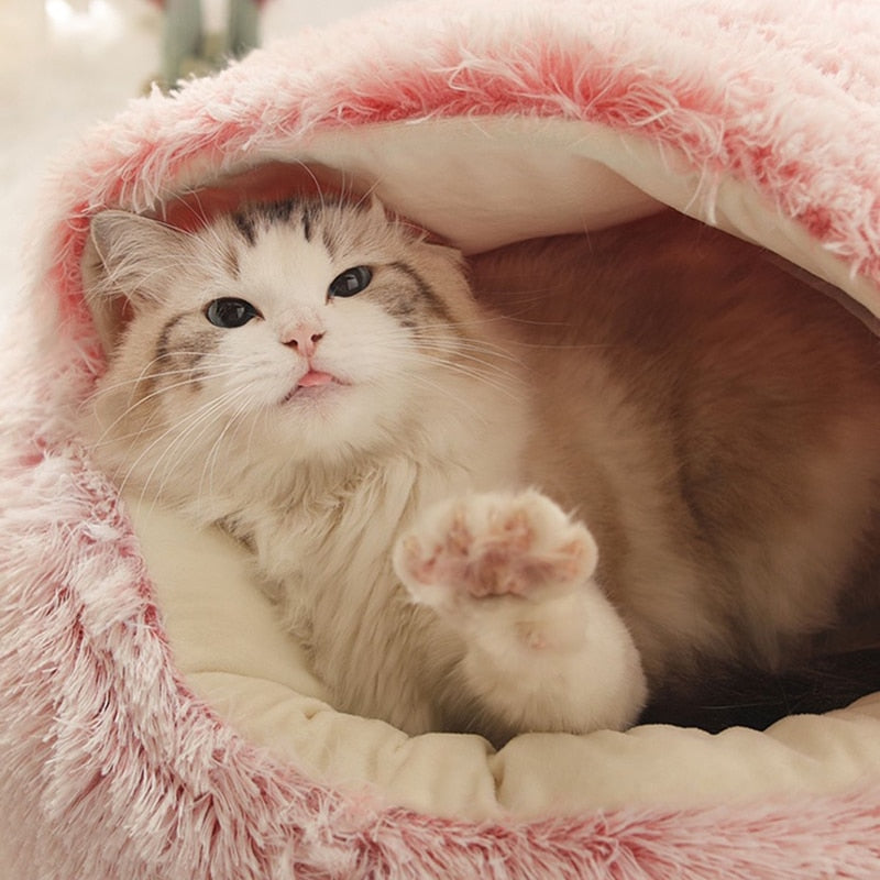 Katzenbett für Komfort und Entspannung