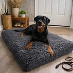 Gemütliches Hundebett mit Waschbarem Bezug und Rutschfester Unterlage