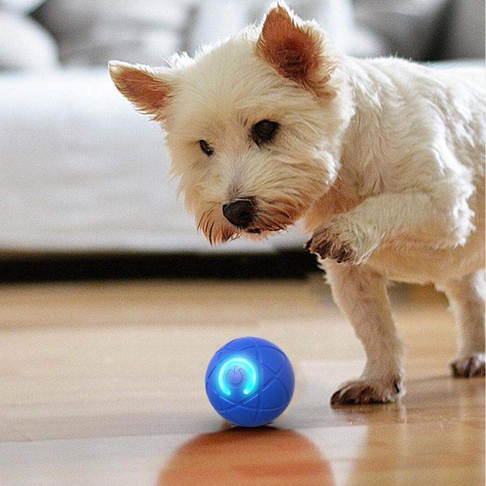 Interaktiver Spielball für Haustiere – Automatisches Rollen und Springen