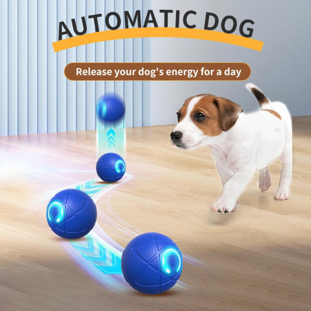 Interaktiver Spielball für Haustiere – Automatisches Rollen und Springen